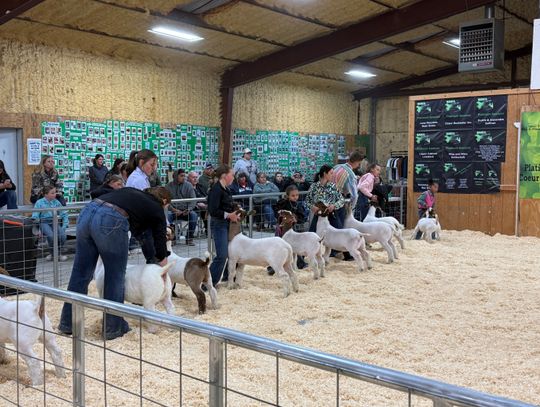 4-H March Madness Livestock exhibitors encouraged to enter early for prize drawing