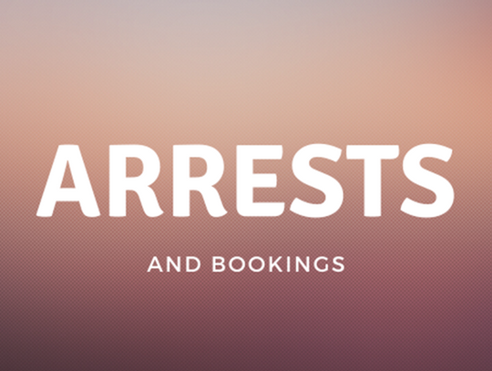 Arrests and Bookings Feb. 7 - Feb. 14