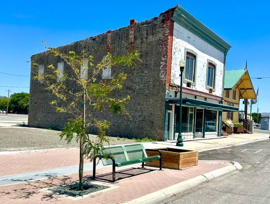 Beautifying Lovelock: Volunteers Rally for Main Street and More