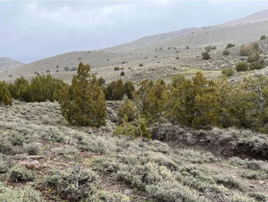 BLM approves gold exploration project in Pershing County BLM approves gold exploration project in Pershing County