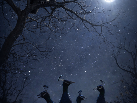 Captain’s Log Captain’s Log