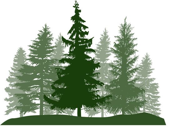 Community Health Team Offers Holiday Support Reminder