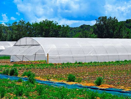 Extension to Host High Tunnel Growing Workshop Sept. 19