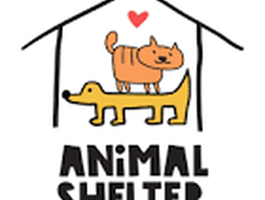 Lovelock Animal Shelter Seeks Foster Homes as Capacity Nears Limit Lovelock Animal Shelter Seeks Foster Homes as Capacity Nears Limit