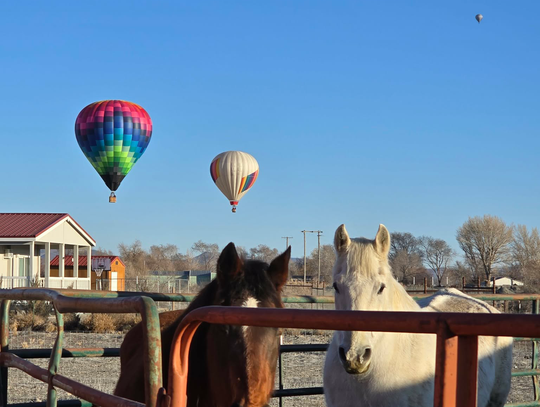 Lovers Aloft Balloon Festival Celebrates 20 Years in Lovelock Lovers Aloft Balloon Festival Celebrates 20 Years in Lovelock