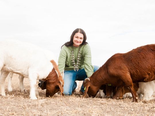 March Madness Livestock Show: Where Hard Work and Hooves Meet