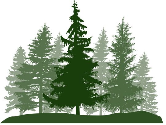 Senior Center van trips set; celebrate National Senior Center Month with lunch, bingo, and  “Adopt a Senior”