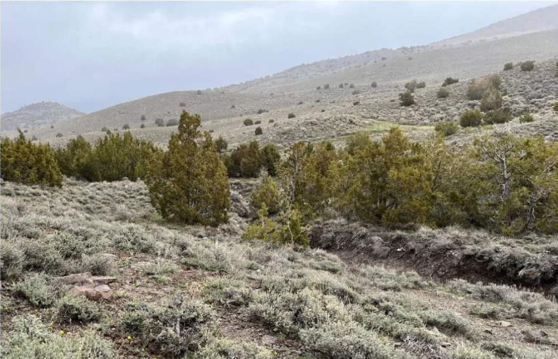 BLM approves gold exploration project in Pershing County
