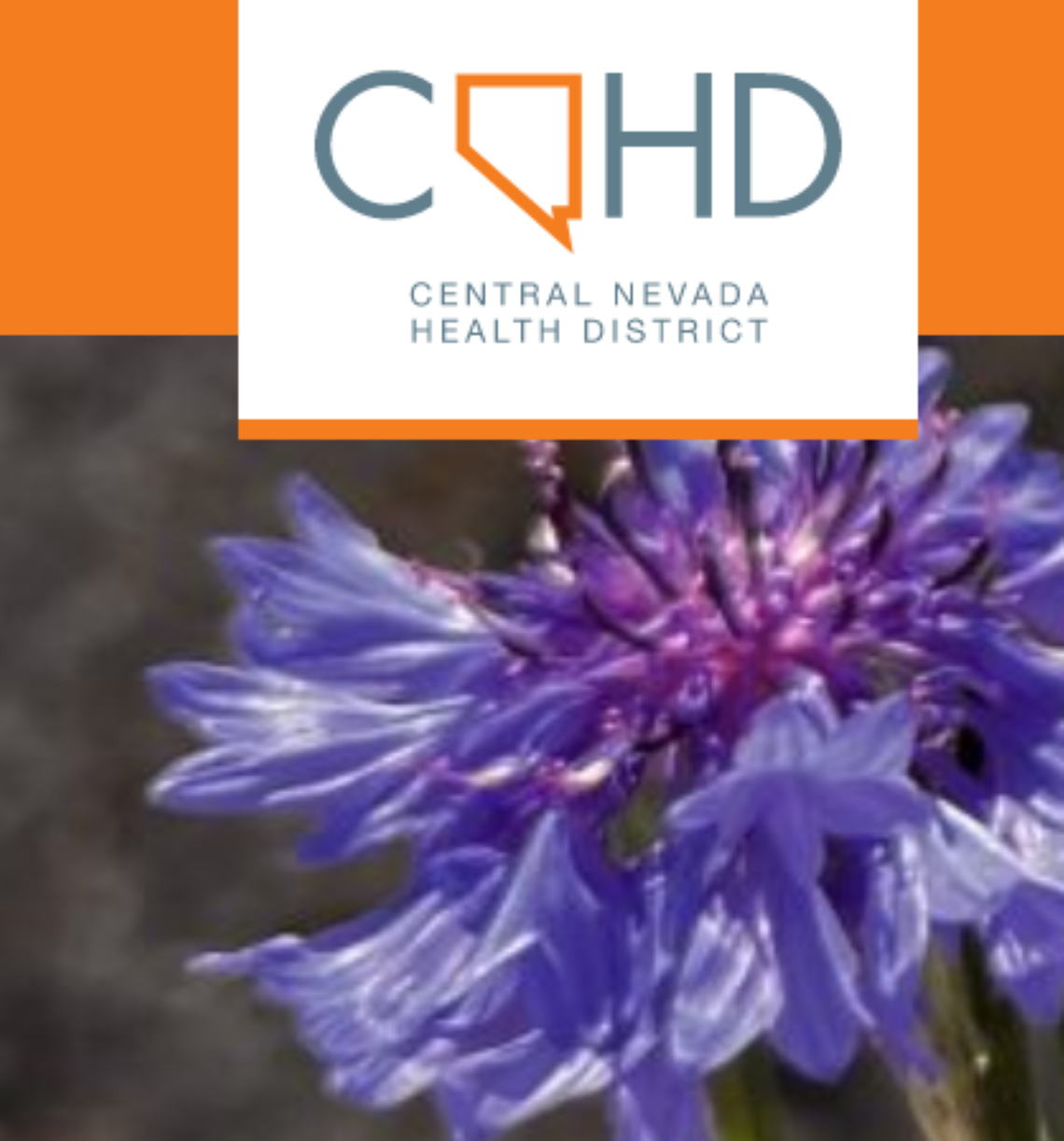 Central Nevada Health District Meeting