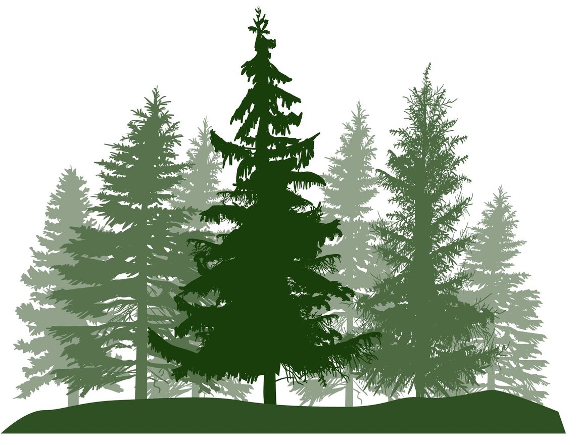 Community Health Team Offers Holiday Support Reminder Community Health Team Offers Holiday Support Reminder