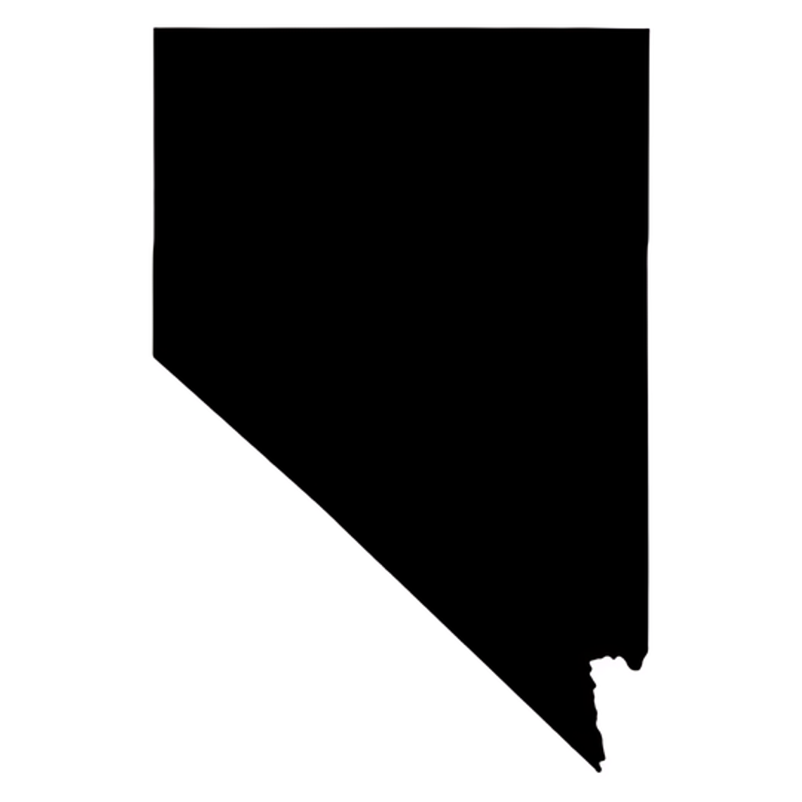 Democrat Benitez-Thompson sees her shot in Nevada's 2nd U.S. House District race -- and takes it