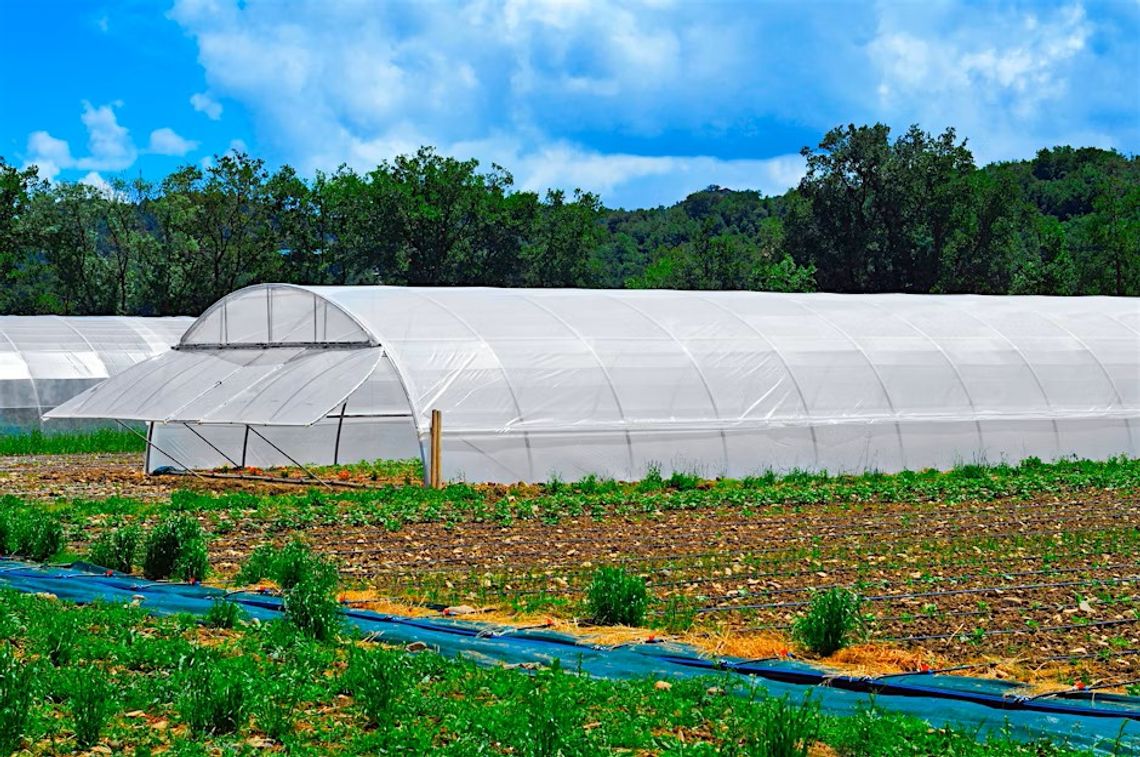 Extension to Host High Tunnel Growing Workshop Sept. 19