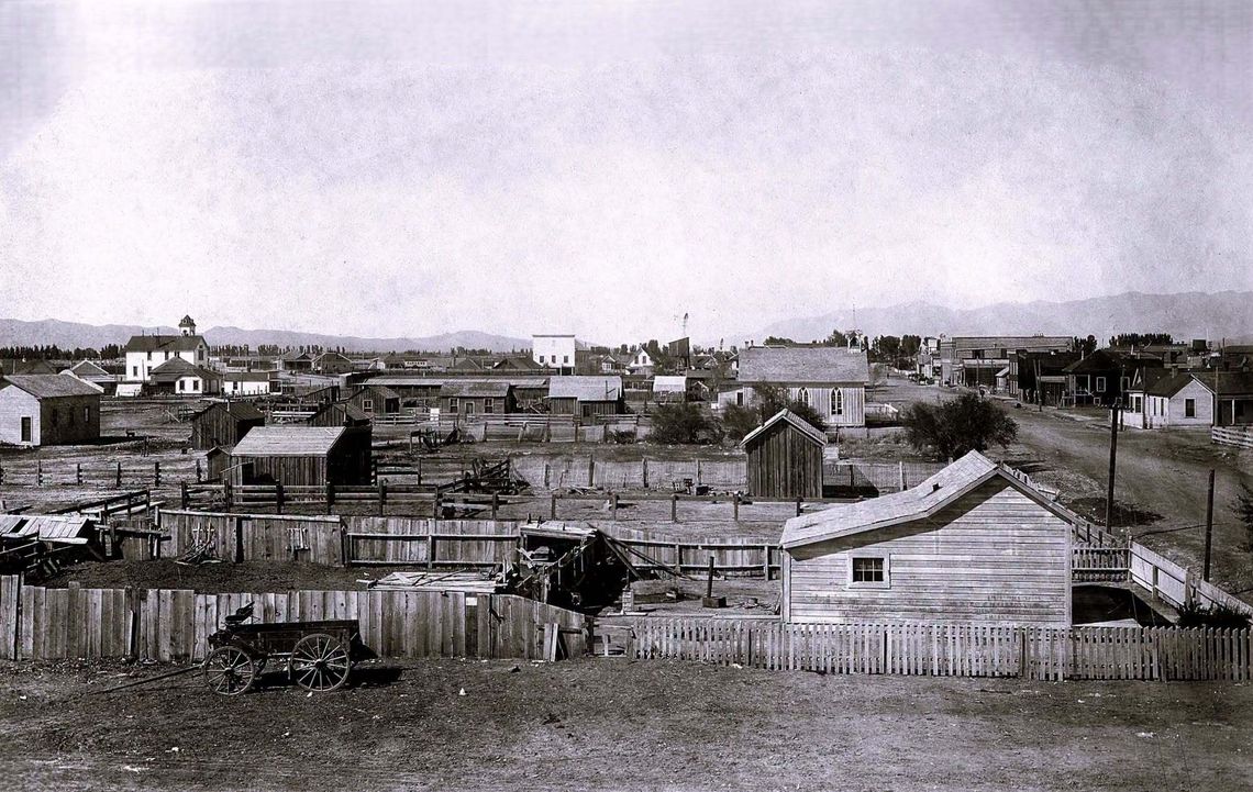 Lovelock at the turn of the century Lovelock at the turn of the century