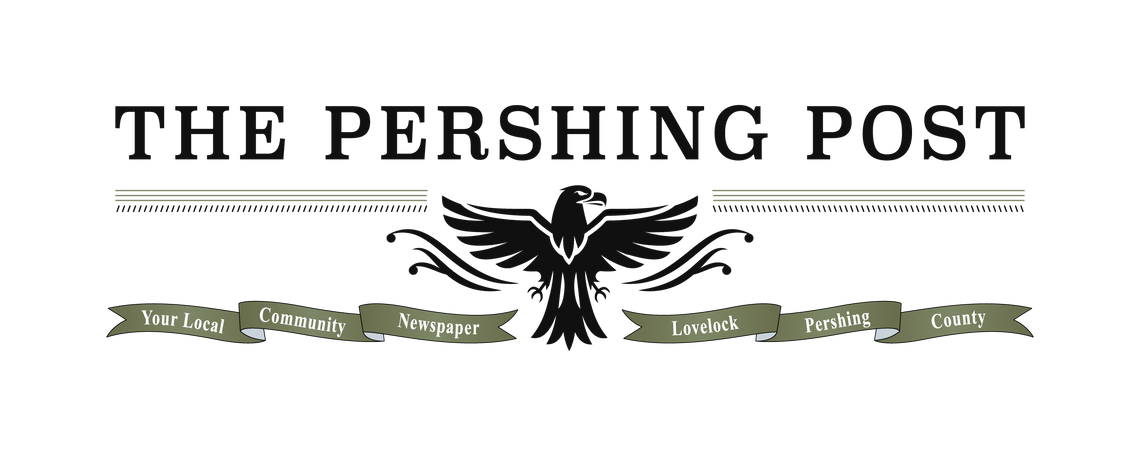Lovelock Police Join Statewide “Joining Forces” Traffic Safety Campaign Lovelock Police Join Statewide “Joining Forces” Traffic Safety Campaign