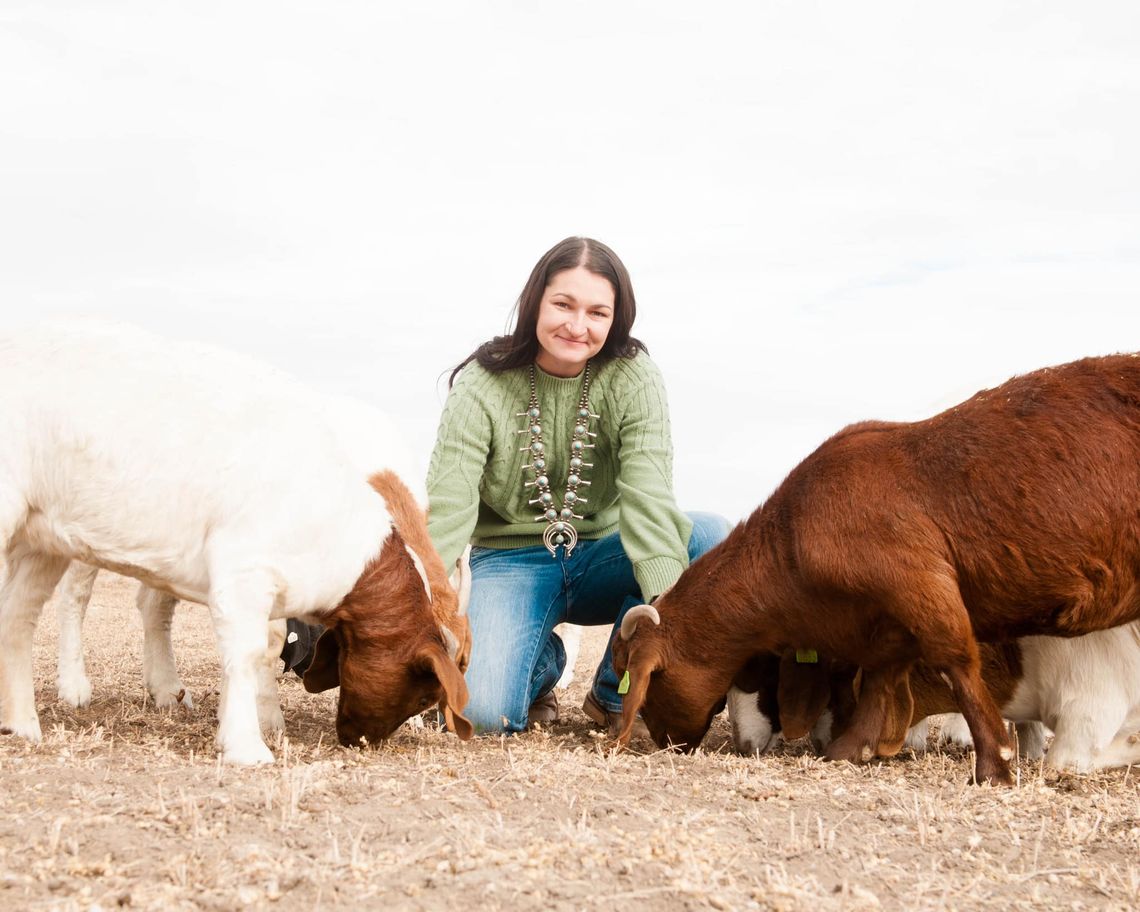 March Madness Livestock Show: Where Hard Work and Hooves Meet