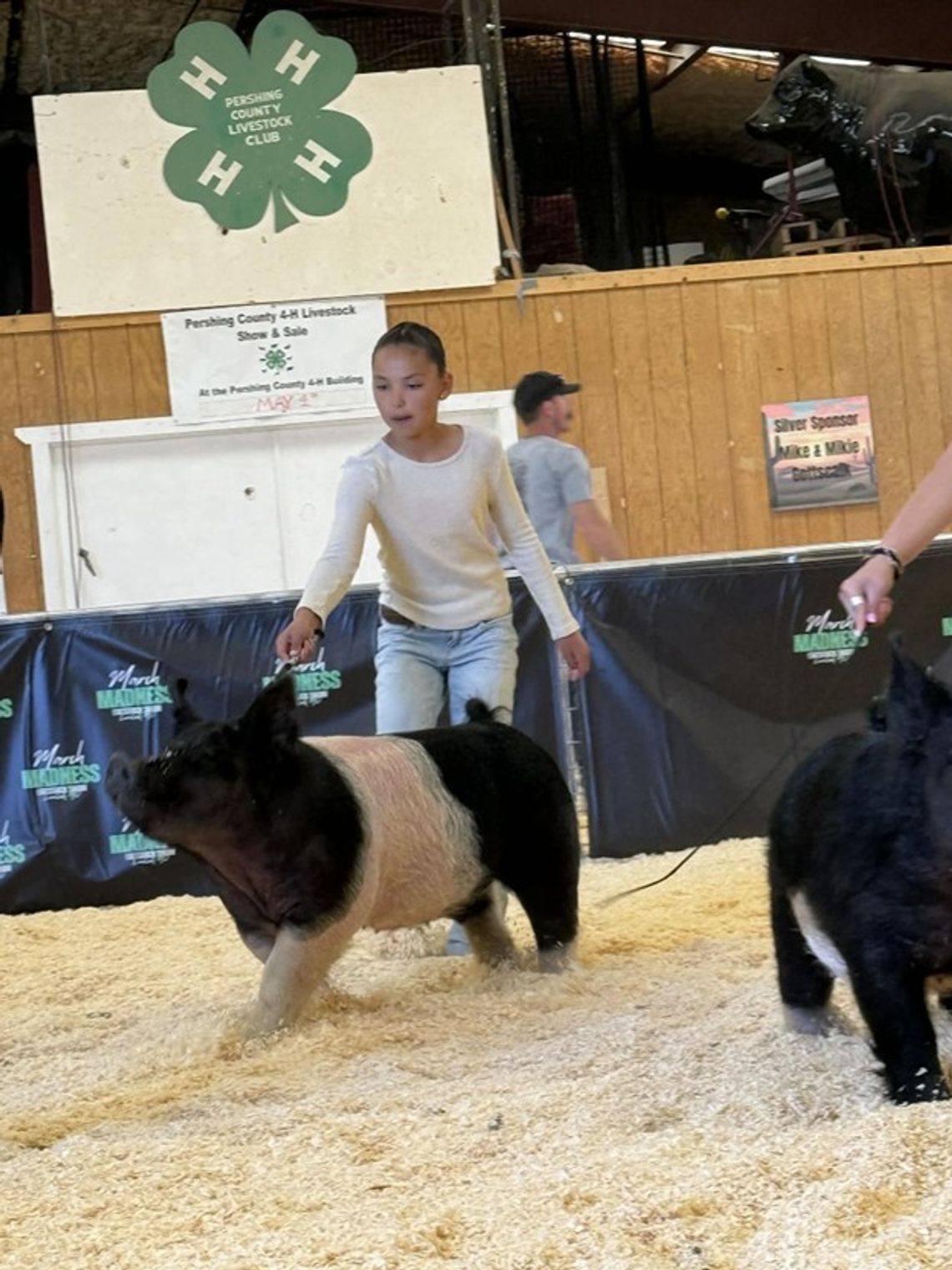March Madness -- Show ring madness that is