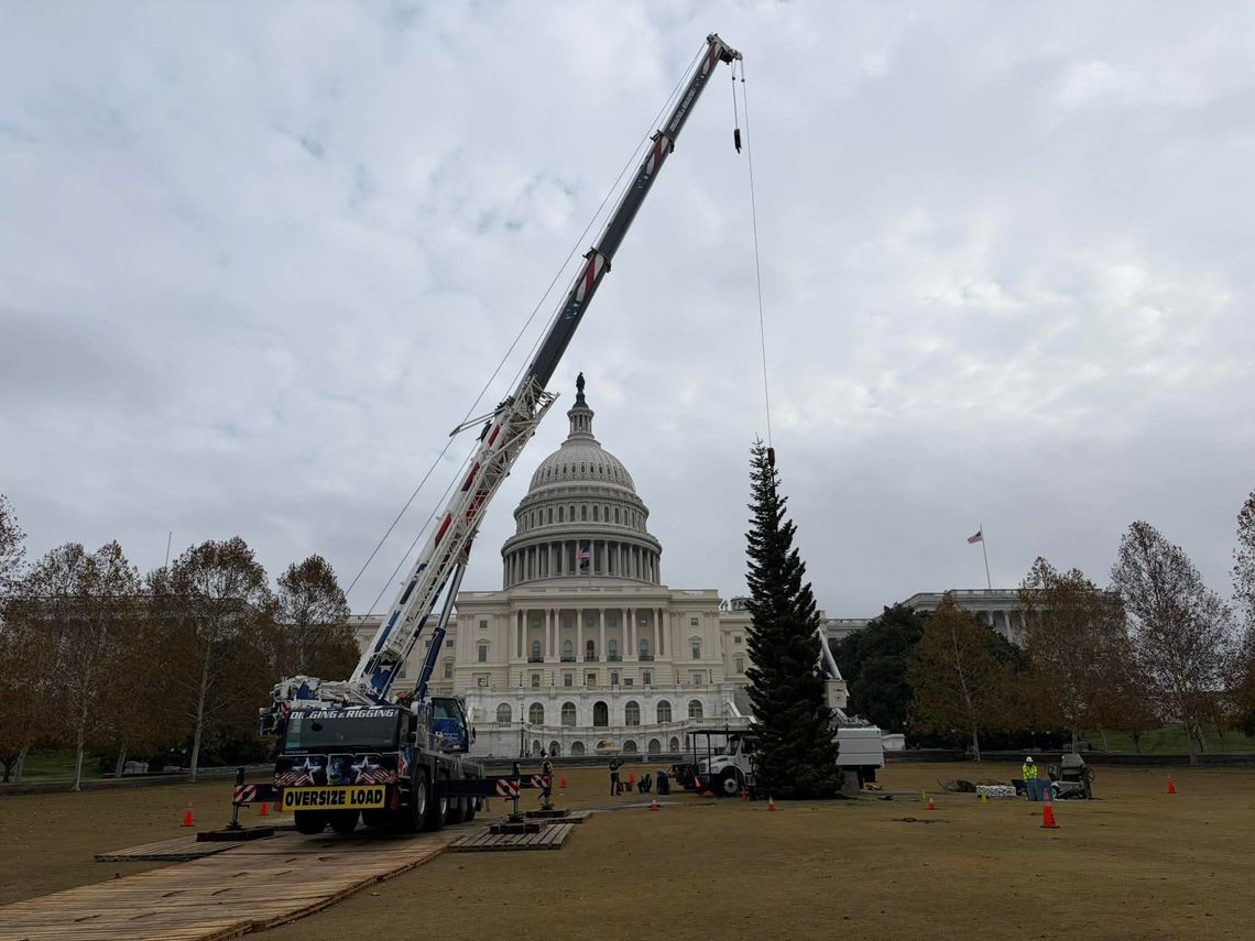Nevada’s “Silver Belle” Arrives in Washington, Ready for December 2 Lighting Nevada’s “Silver Belle” Arrives in Washington, Ready for December 2 Lighting