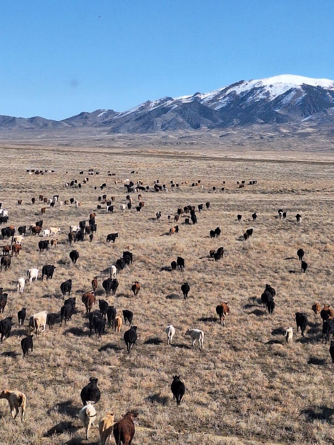 Ranchers Press Navy on Compensation as FRTC Expansion Moves Forward