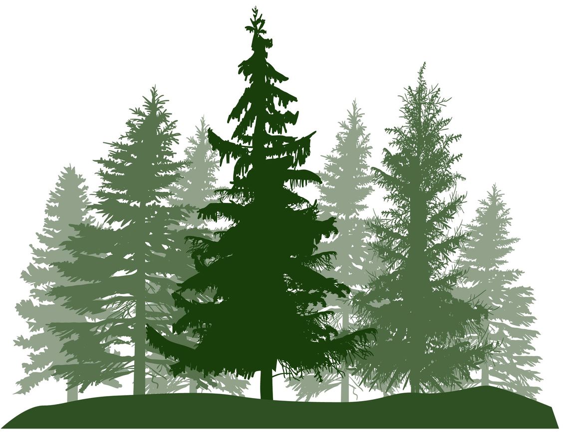 Senior Center van trips set; celebrate National Senior Center Month with lunch, bingo, and  “Adopt a Senior”