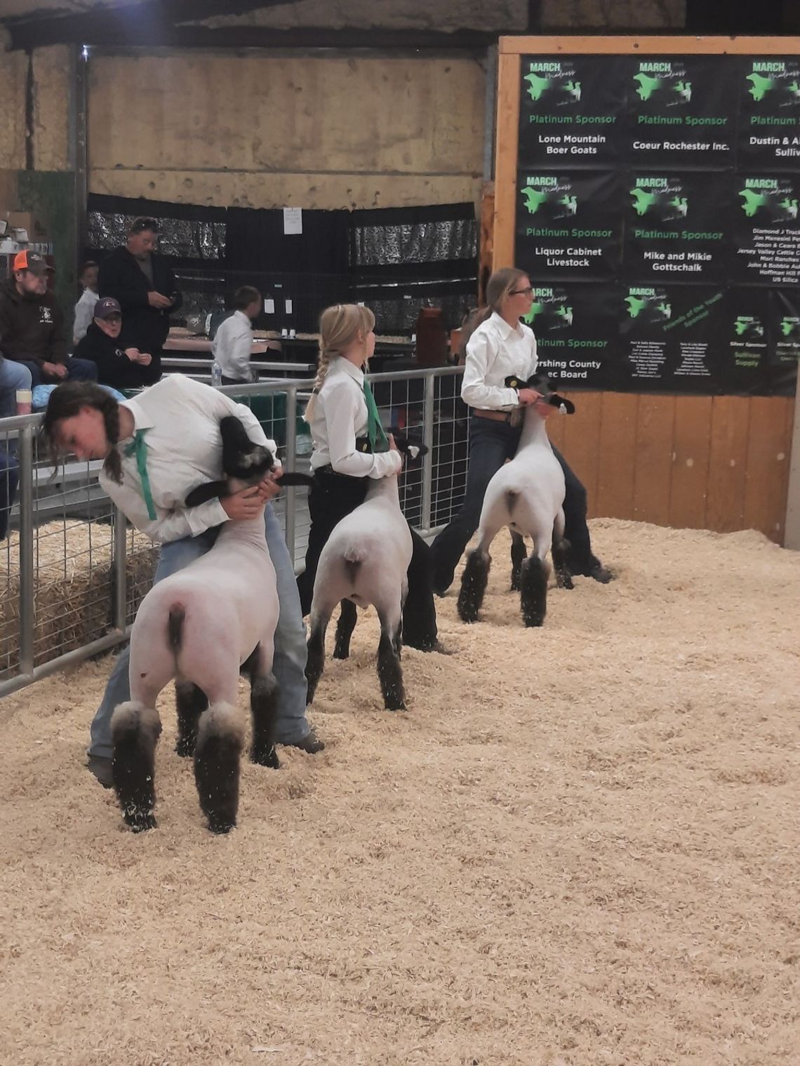 Young Ranchers Take the Ring for Star Wars-Themed Livestock Show