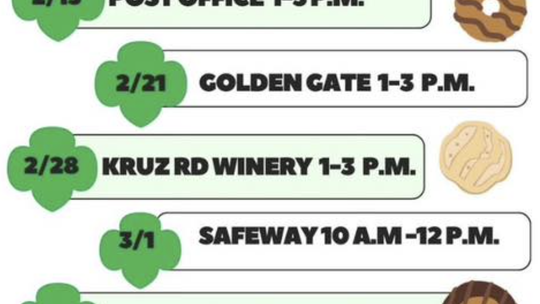 Girl Scout Cookie Stand