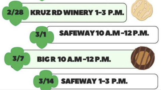 Girl Scout Cookie Stand